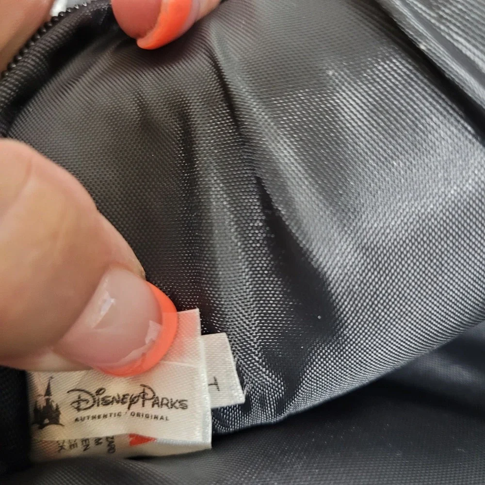 Disney parks tech